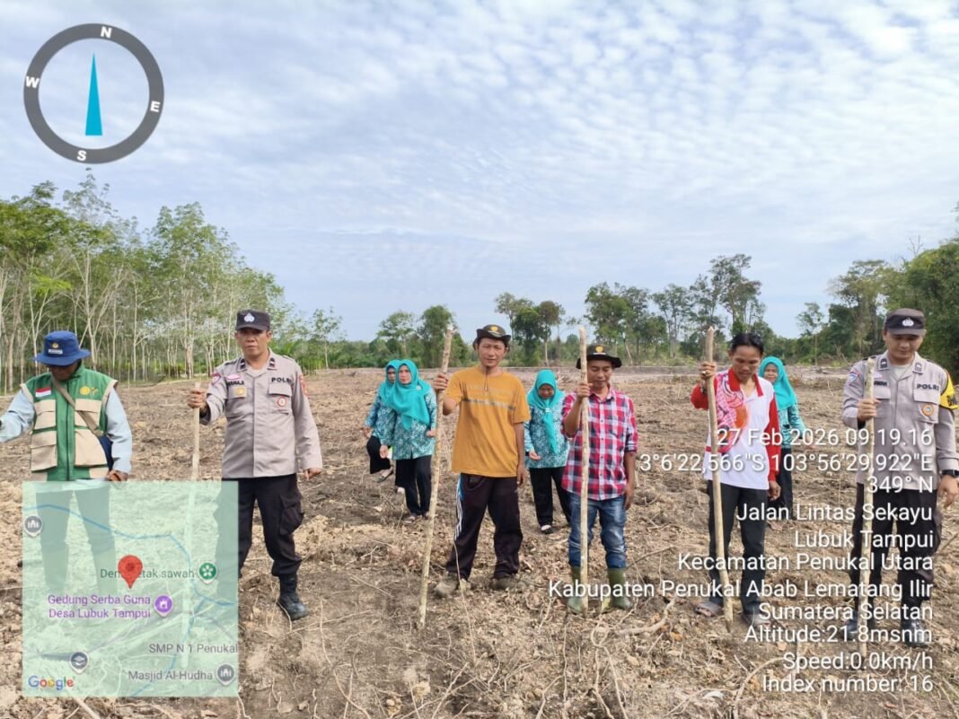 Pemdes Lubuk Tampui Sukseskan Penanaman Jagung, Memperkuat Ketahanan Pangan Nasional Pemdes Lubuk Tampui Sukseskan Penanaman Jagung, Memperkuat Ketahanan Pangan Nasional