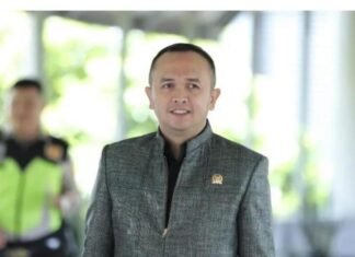 Tongkang Telanjang Cekik Musi, Arfani : Ini Pembunuhan Ekosistim