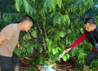 Dendam Lama Berujung Maut, Kapolres OKU Tegaskan Proses Hukum Pelaku Pembunuhan di Ulu Ogan