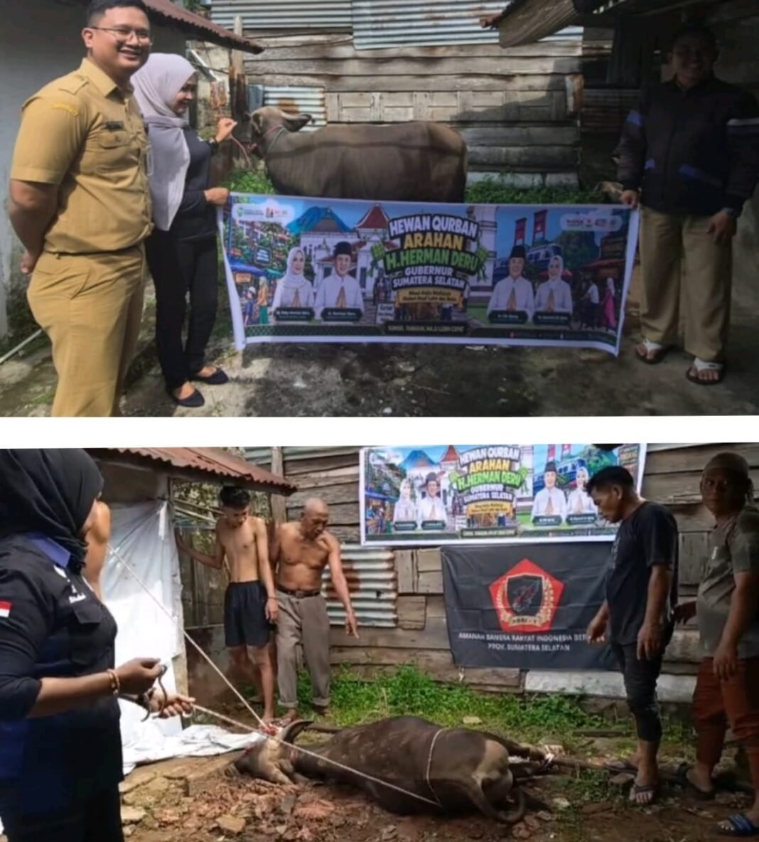 DPW ABRI-1 Dan FBKD Sumsel Sinergi Dengan Pemprov Gelar Penyembelihan Hewan Kurban, Idul Adha 1447 H DPW ABRI-1 Dan FBKD Sumsel Sinergi Dengan Pemprov Gelar Penyembelihan Hewan Kurban, Idul Adha 1447 H