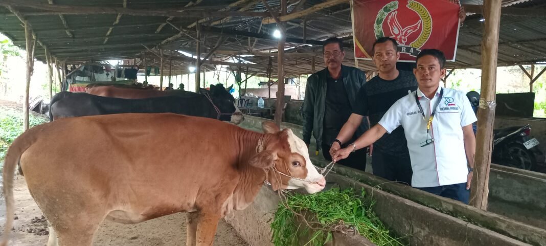 SIRA dan PST : Apresiasi KPK RI Atas Keberhasilan KPK RI Menetapkan Bupati Muara Enim Sebagai Tersangka Kasus Gratifikasi SIRA dan PST : Apresiasi KPK RI Atas Keberhasilan KPK RI Menetapkan Bupati Muara Enim Sebagai Tersangka Kasus Gratifikasi