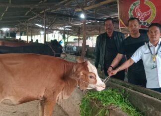 SIRA dan PST : Apresiasi KPK RI Atas Keberhasilan KPK RI Menetapkan Bupati Muara Enim Sebagai Tersangka Kasus Gratifikasi