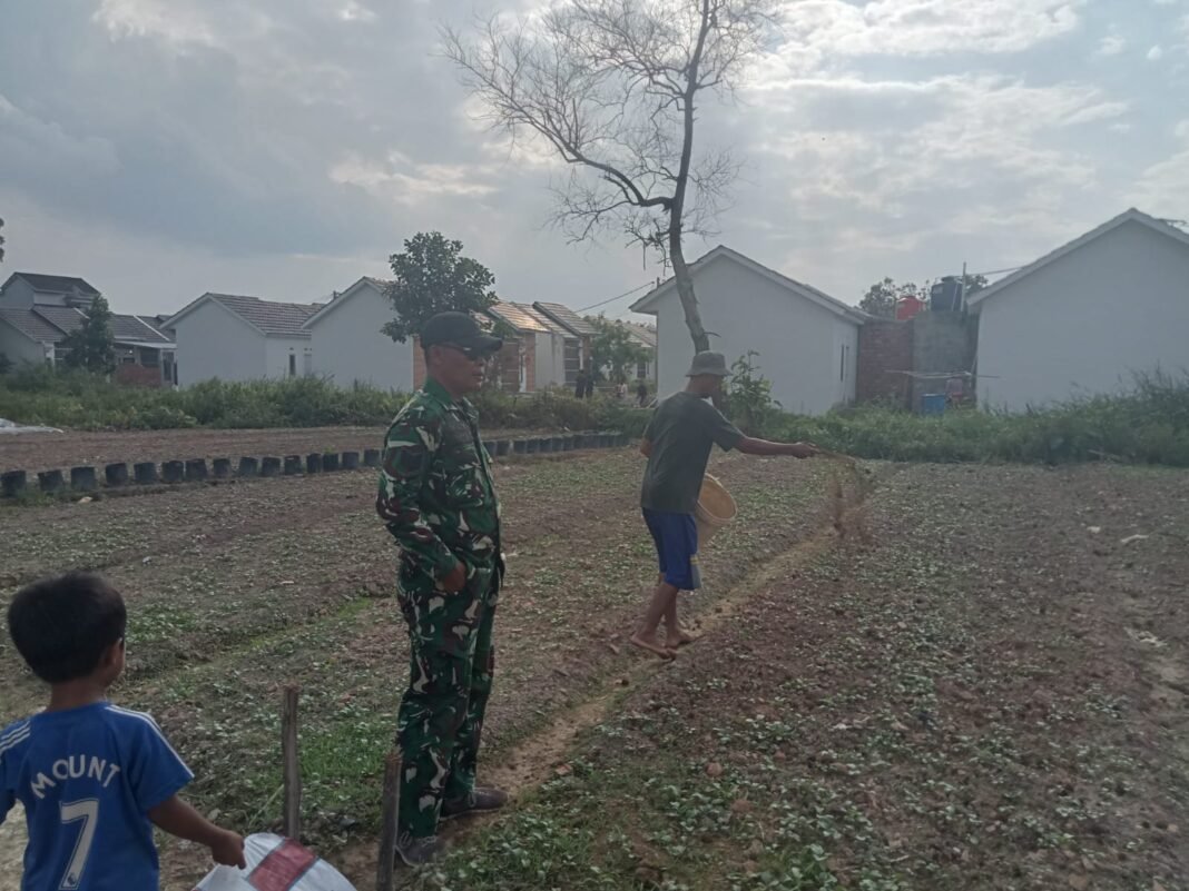 Satgas TMMD Ke-129 Kodim 0418/Palembang Kembangkan Lahan Ketahanan Pangan Terpadu Dukung Swasembada Pangan Warga Satgas TMMD Ke-129 Kodim 0418/Palembang Kembangkan Lahan Ketahanan Pangan Terpadu Dukung Swasembada Pangan Warga