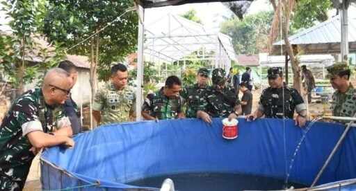 Danrem 044/Gapo Panen Hasil Urban Farming Gapo Farm, Wujud Nyata Ketahanan Pangan Berkelanjutan Danrem 044/Gapo Panen Hasil Urban Farming Gapo Farm, Wujud Nyata Ketahanan Pangan Berkelanjutan
