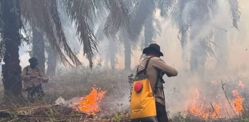 Operasi Aman Nusa II, Polisi Perkuat Penanganan Karhutla di Kabupaten OKI Operasi Aman Nusa II, Polisi Perkuat Penanganan Karhutla di Kabupaten OKI