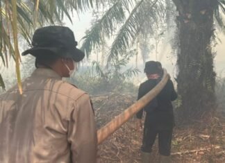 Operasi Aman Nusa II Padamkan Karhutla Seluas 9 Hektare di Sungai Menang OKI
