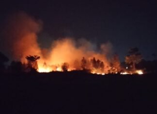 Polda Sumsel Tangkap Dua Buruh Pembakar Lahan Seluas 1,5 Hektare di Palembang