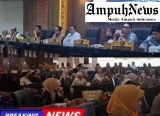 Syaiful Fadli Soroti Perubahan Desil Warga, Verifikasi Data Diminta Perkuat