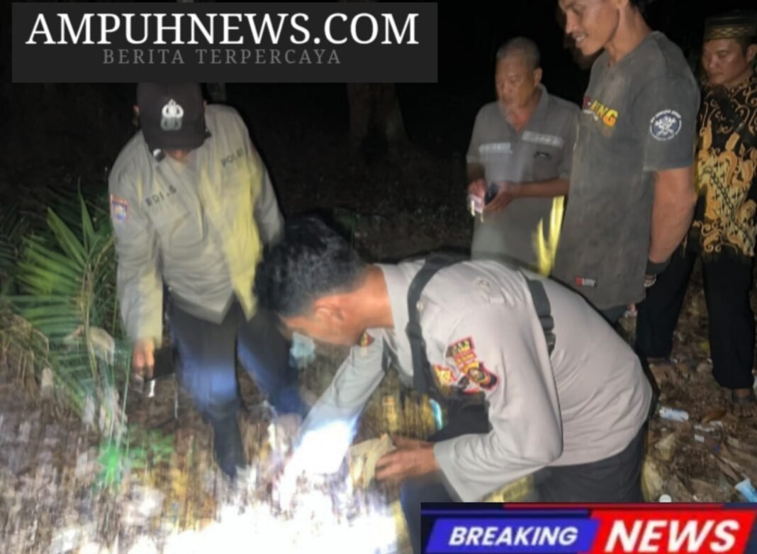 Penganiayaan Maut di Lapak Sawit Aur Duri, Pria 45 Tahun Diamankan Polisi Penganiayaan Maut di Lapak Sawit Aur Duri, Pria 45 Tahun Diamankan Polisi
