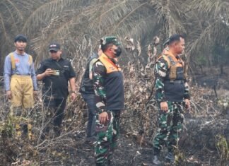 Danrem 044/Gapo Turun Langsung Patroli Karhutla, Pastikan Penanganan Berjalan Optimal