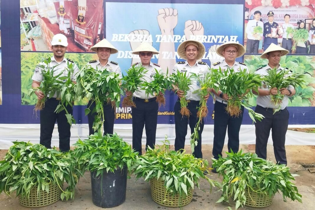 Karutan Kelas I Palembang Bersama Jajaran Panen Kangkung, Dukung Ketahanan Pangan dan Optimalisasi Lahan Produktif Karutan Kelas I Palembang Bersama Jajaran Panen Kangkung, Dukung Ketahanan Pangan dan Optimalisasi Lahan Produktif
