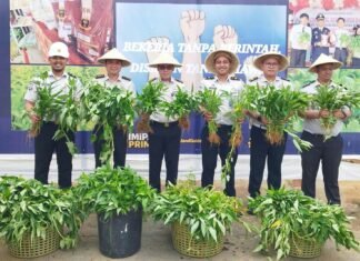Karutan Kelas I Palembang Bersama Jajaran Panen Kangkung, Dukung Ketahanan Pangan dan Optimalisasi Lahan Produktif